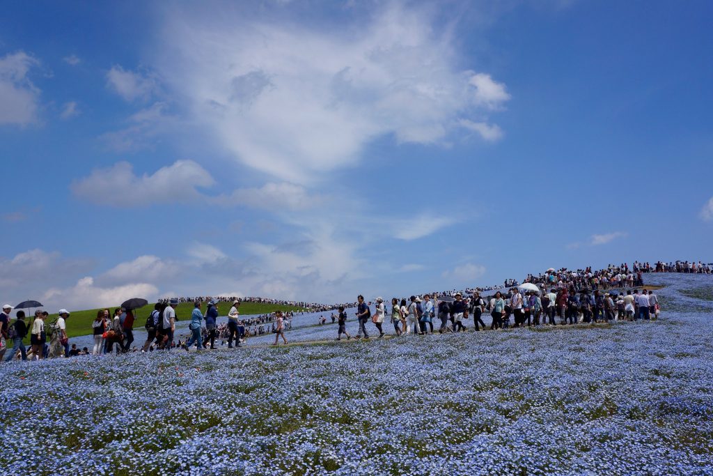 ひたち海浜公園