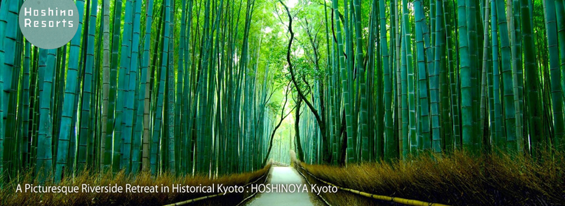 星野リゾート 支援事例